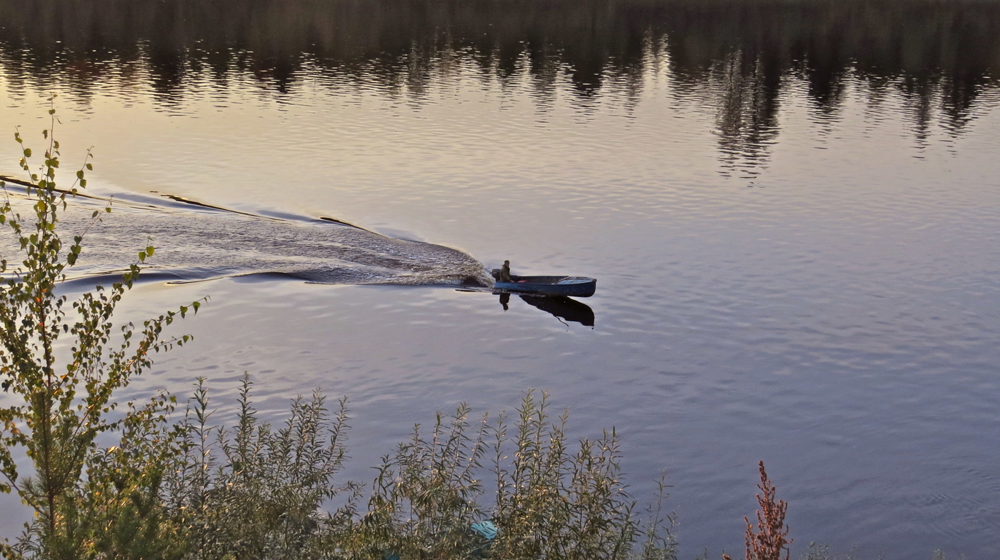 Таёжный край