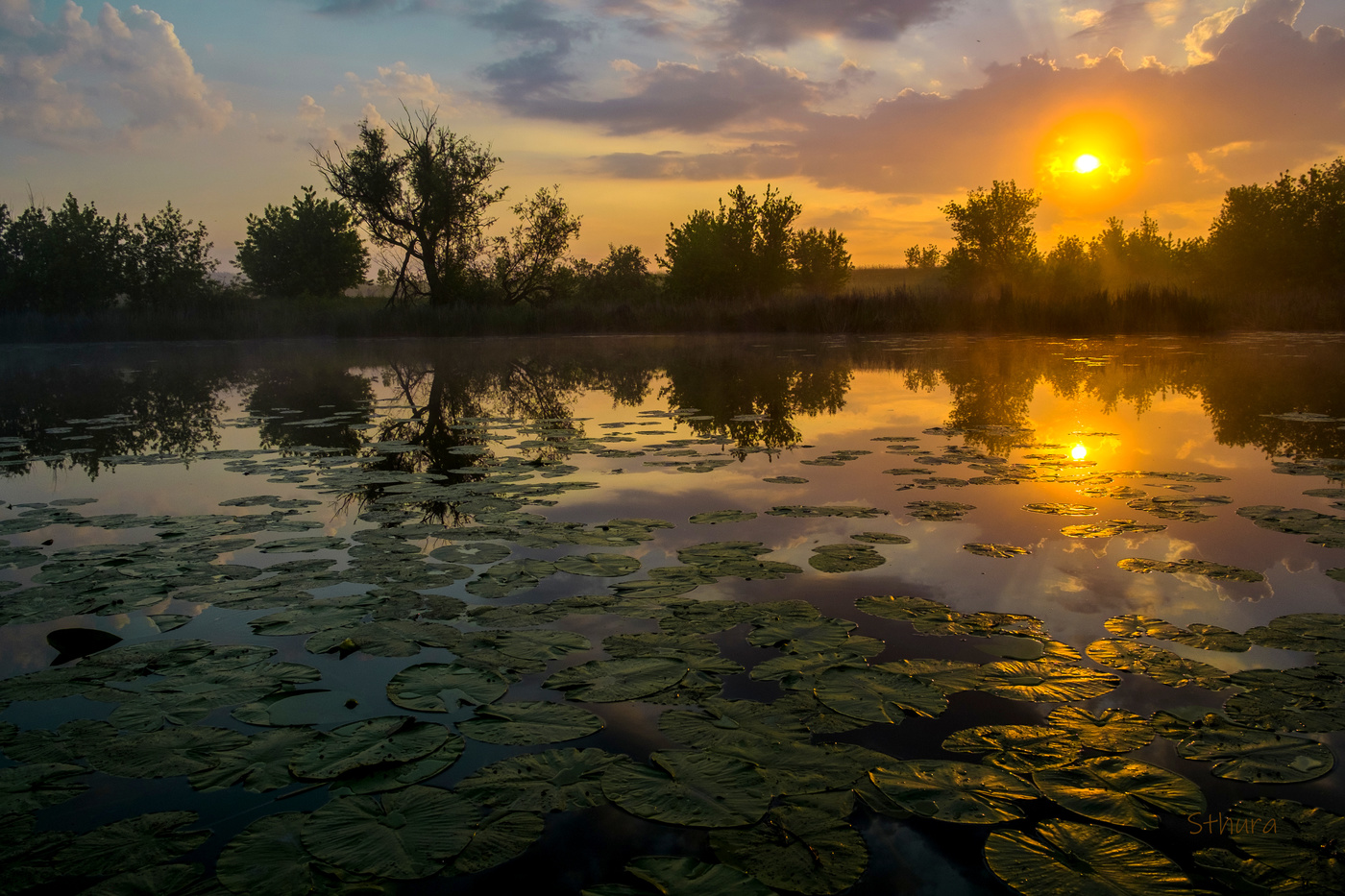 В час рассвета.