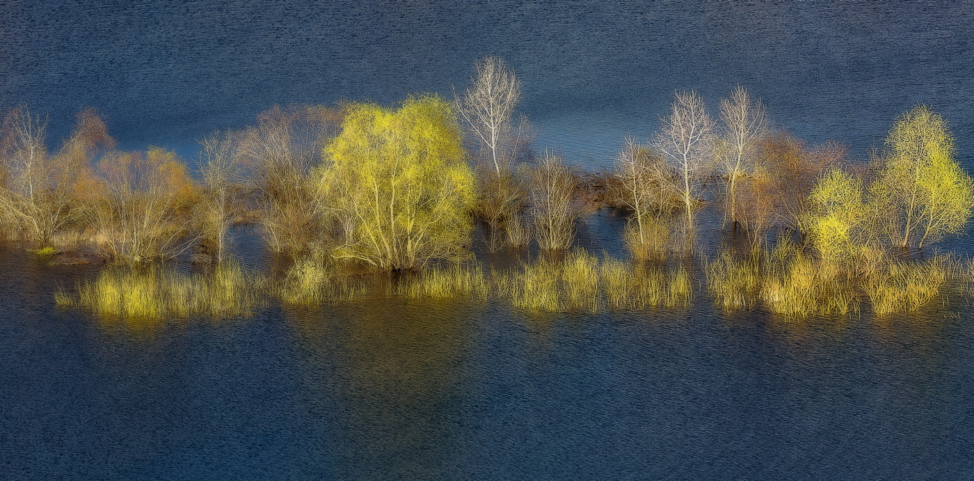 В Весеннем плену.