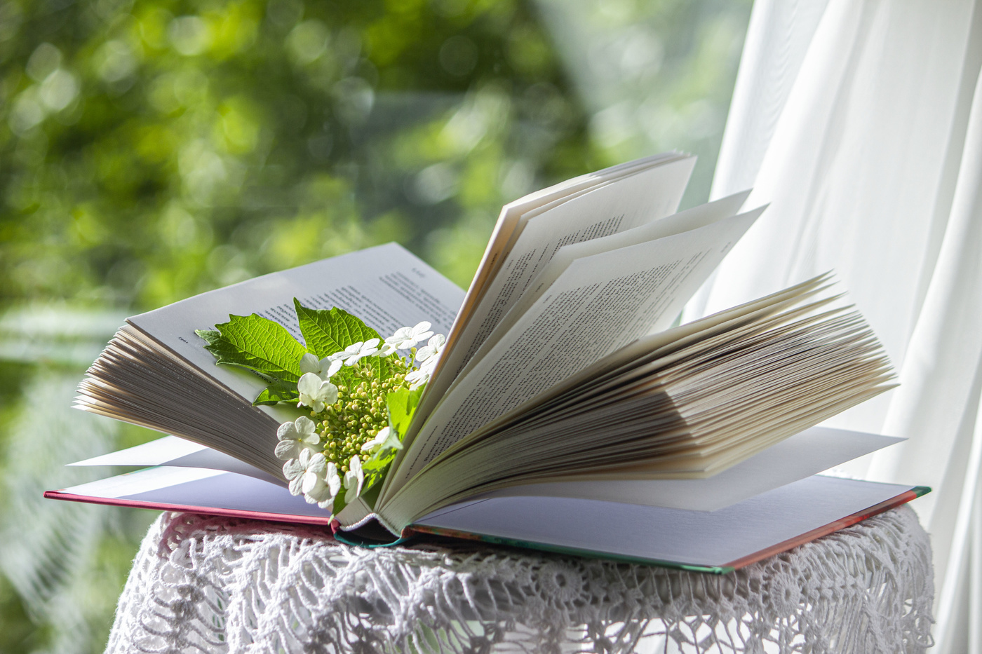 Цветет калина