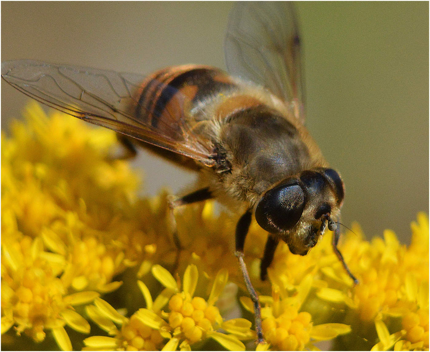 Осенний этюд.