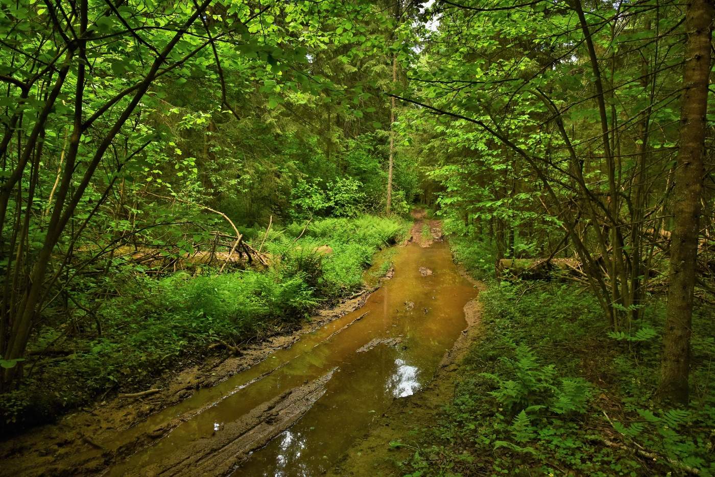 Эх, дороги ...