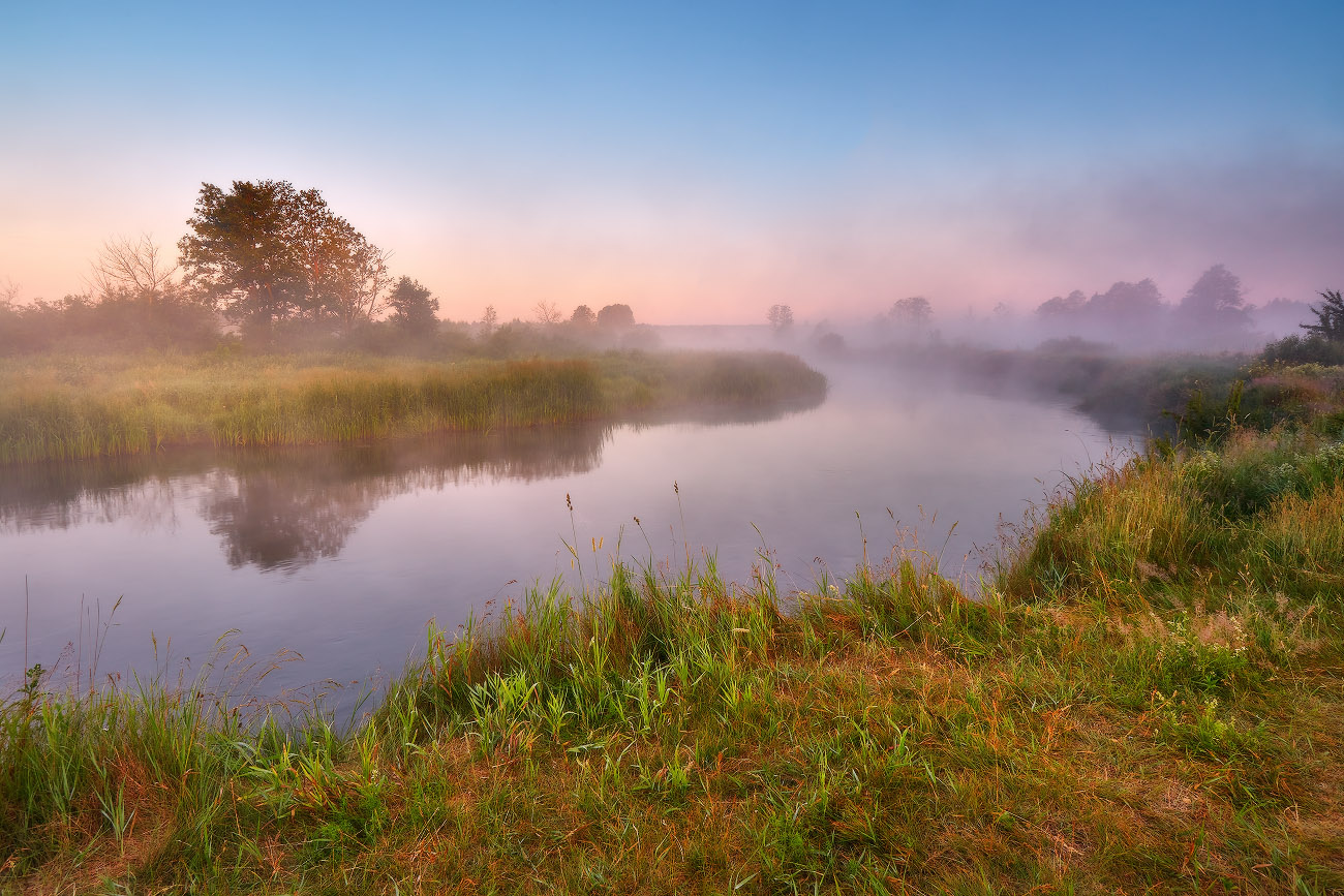 А лето пришло