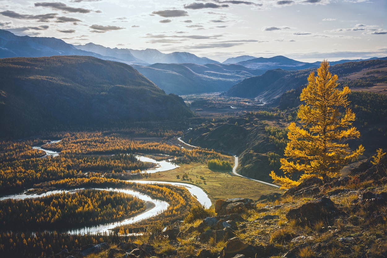 Золото Алтайских гор