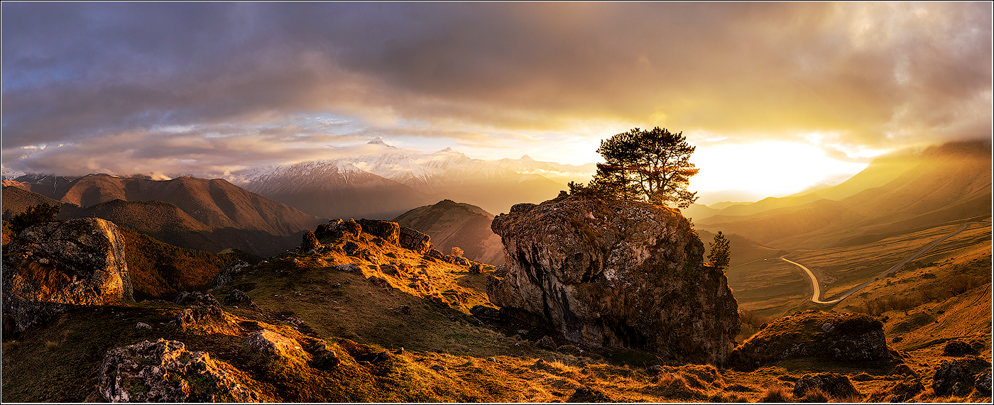 Золото гор...