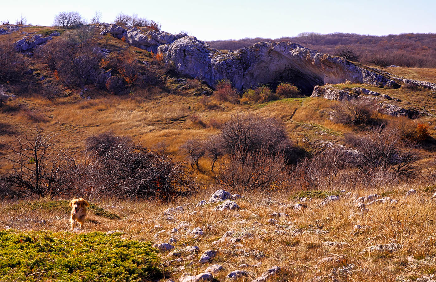 На нижнем плато Чатыр-Дага