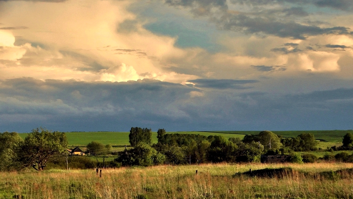 Летним вечером перед грозой