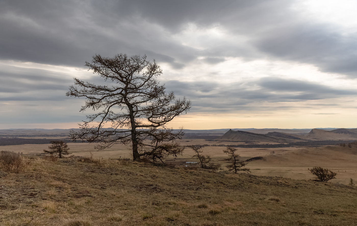 Наперекор ветрам.