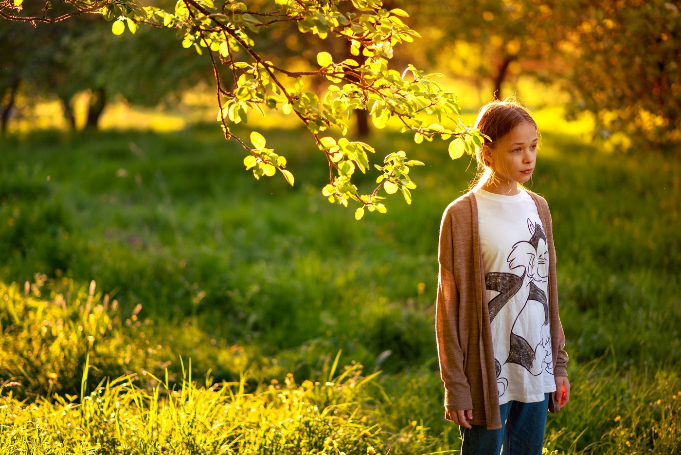 Лабиринт из яблонь