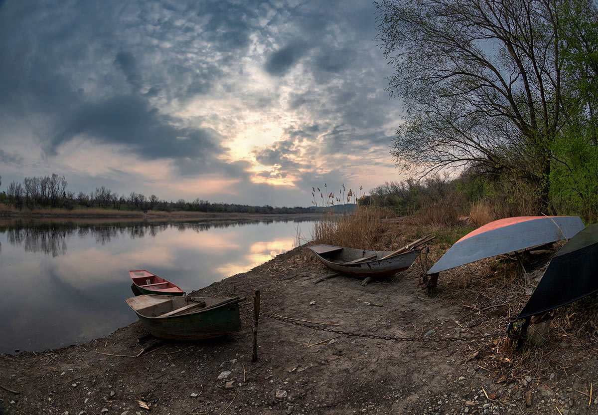 Тихим утром у реки