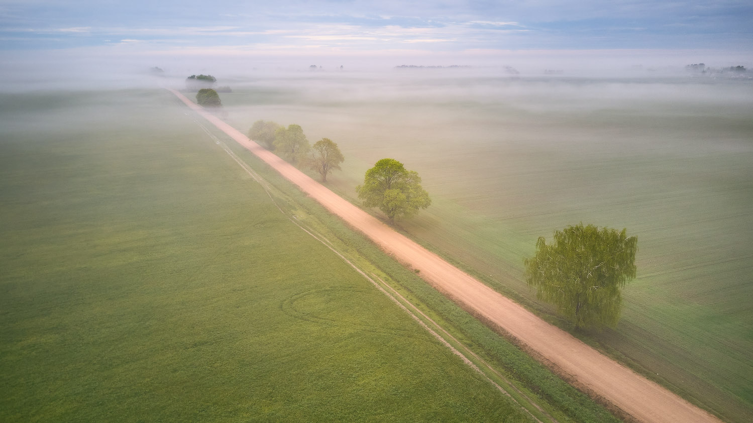 Дорогами, Туманами