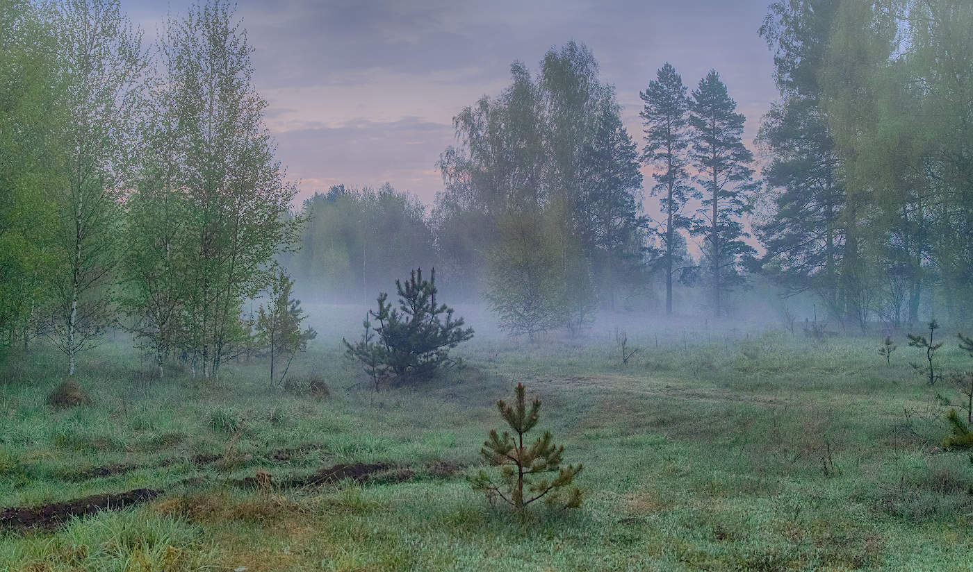 Розовеет рассвет