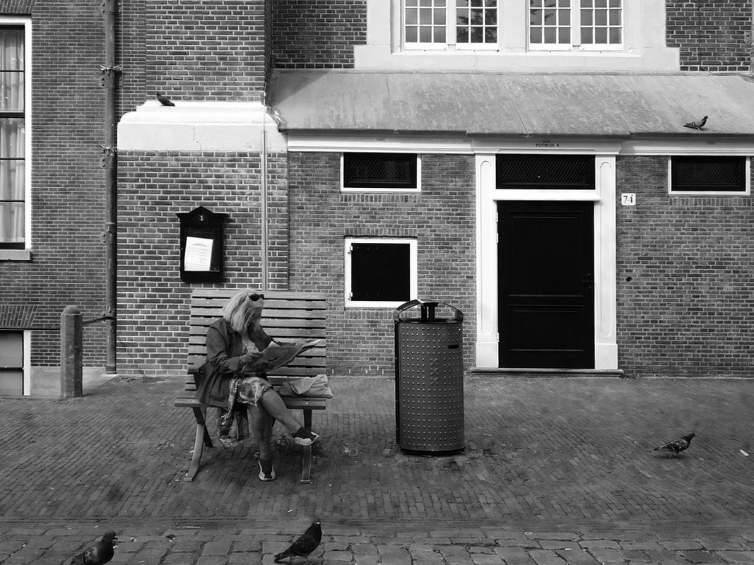 Не кудрявая жизнь