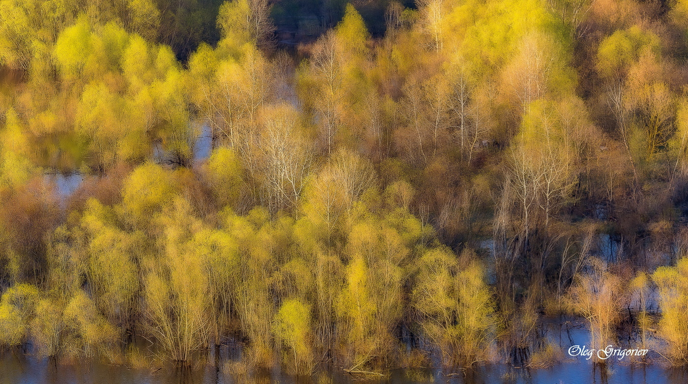 Рождение акварельного этюда...