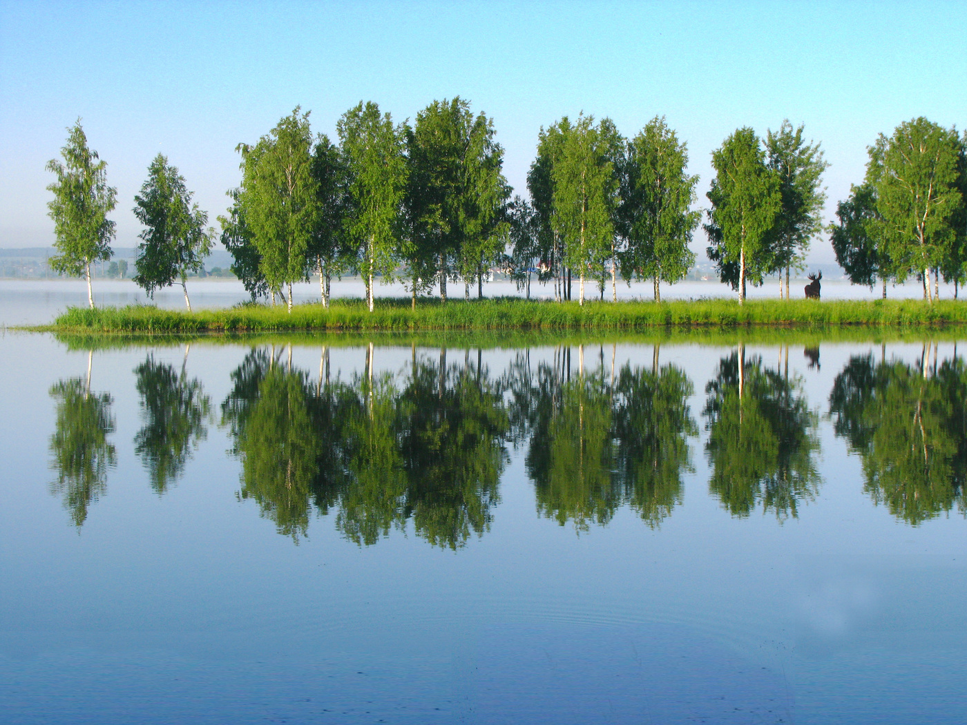 "Лосиный" остров...
