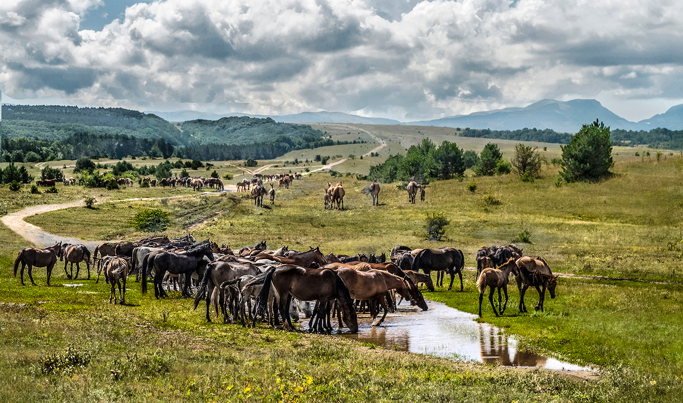 После дождя