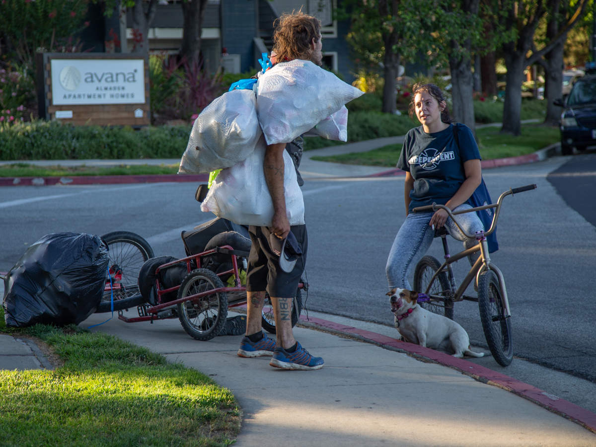 Не кудрявая жизнь