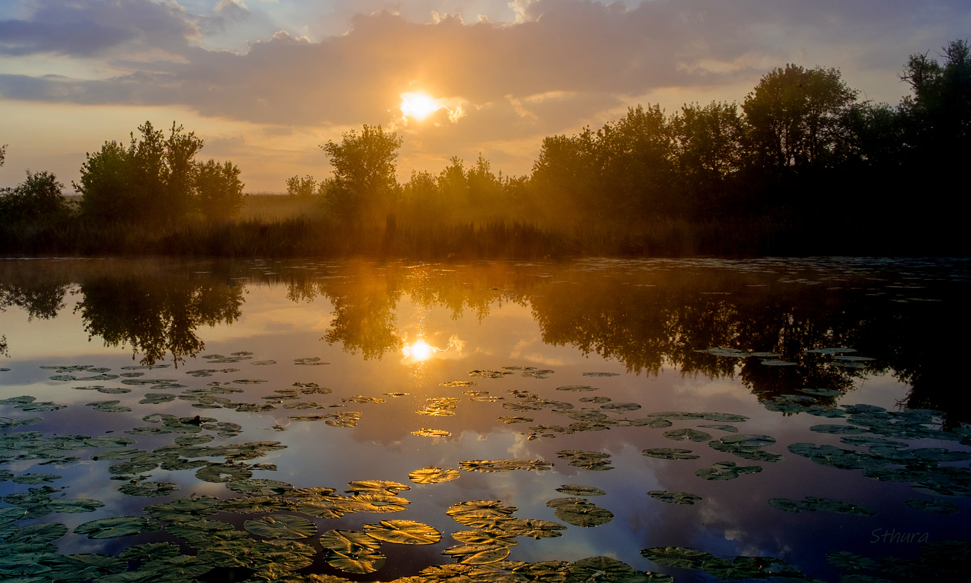 На озере Студёное.