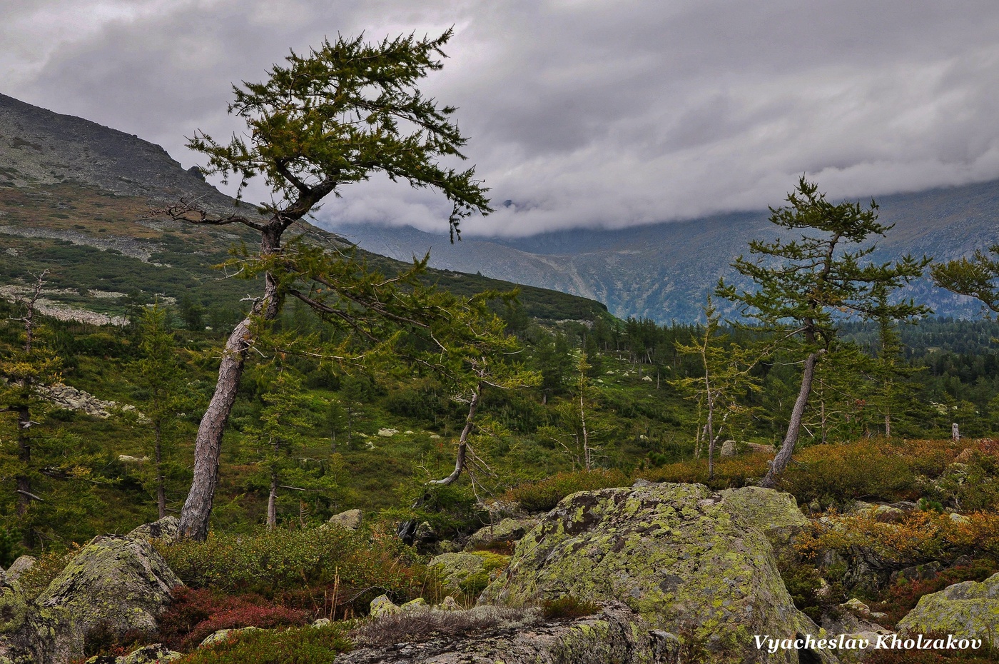 Вечер в Золотой долине