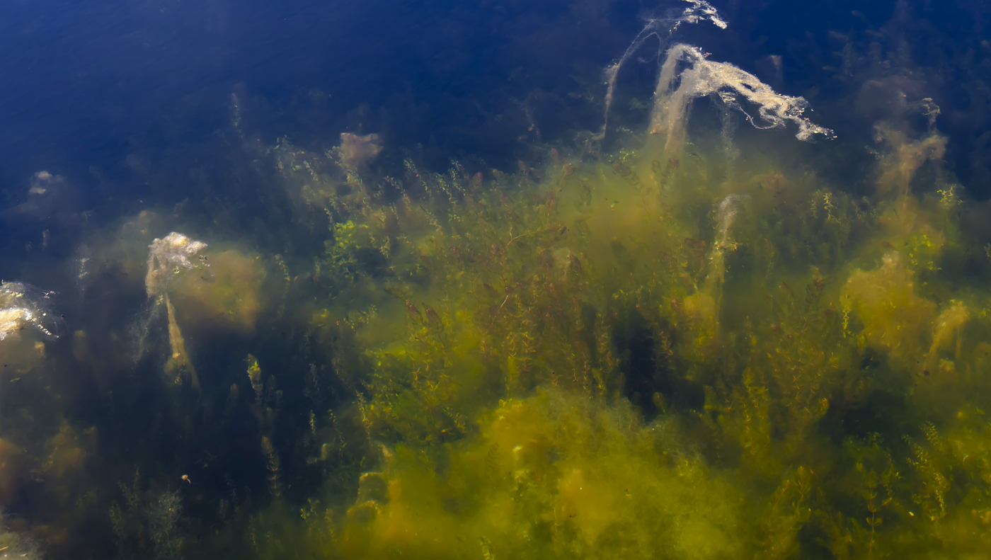 Дальний космос