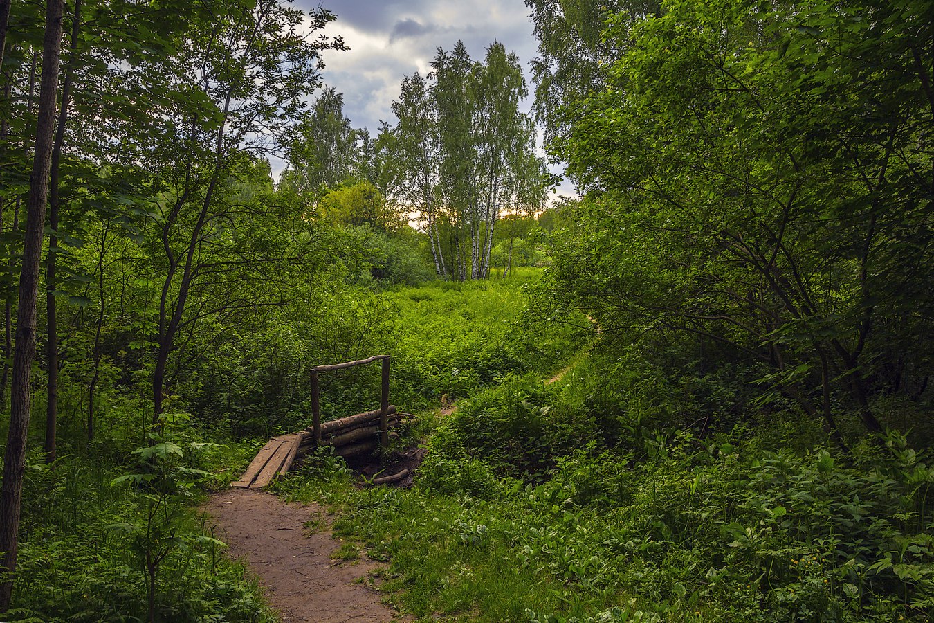 ВЕЧЕРНИЙ ЭТЮД