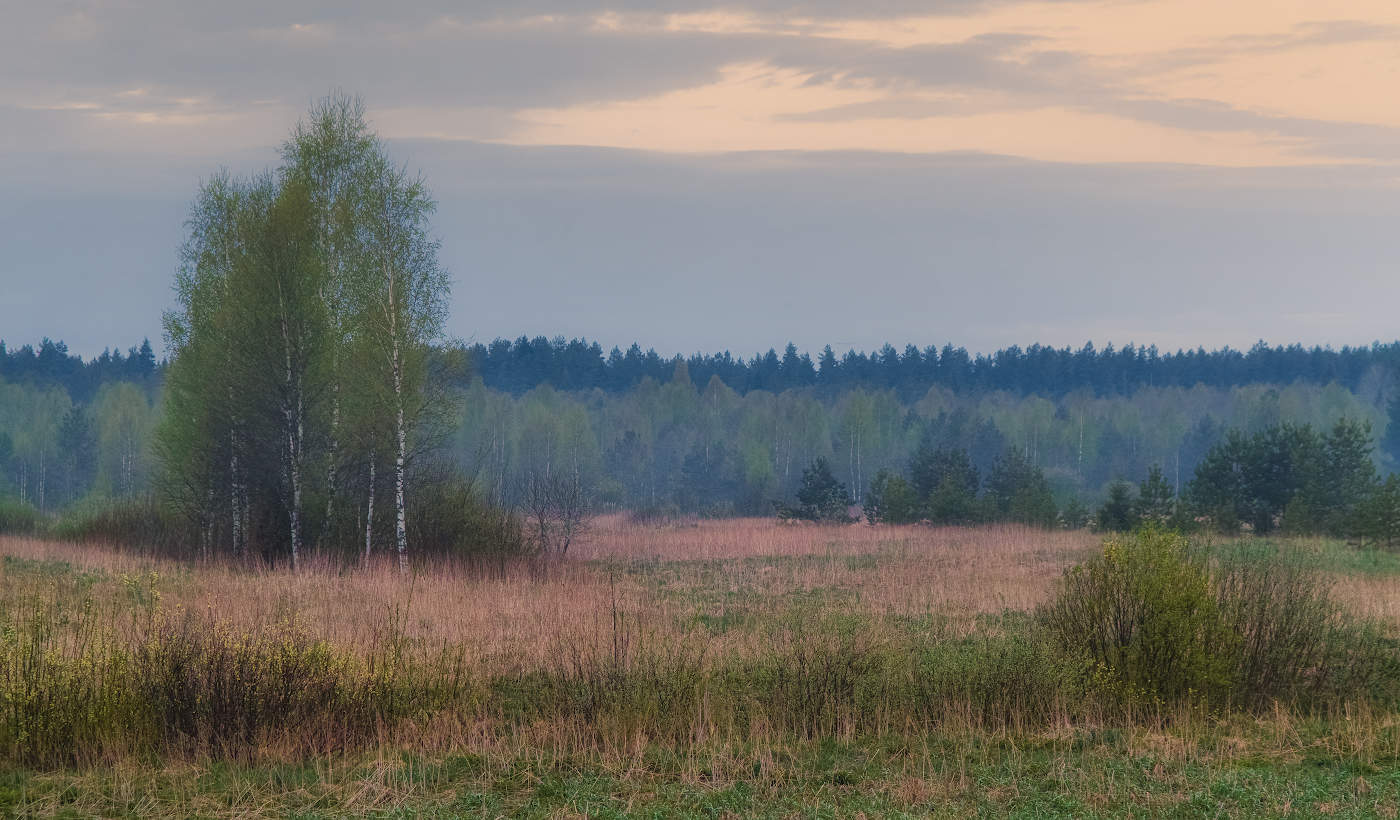 Уходящий туман