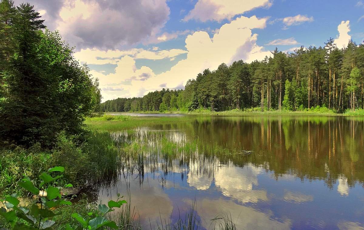 Летним погожим днём на озере