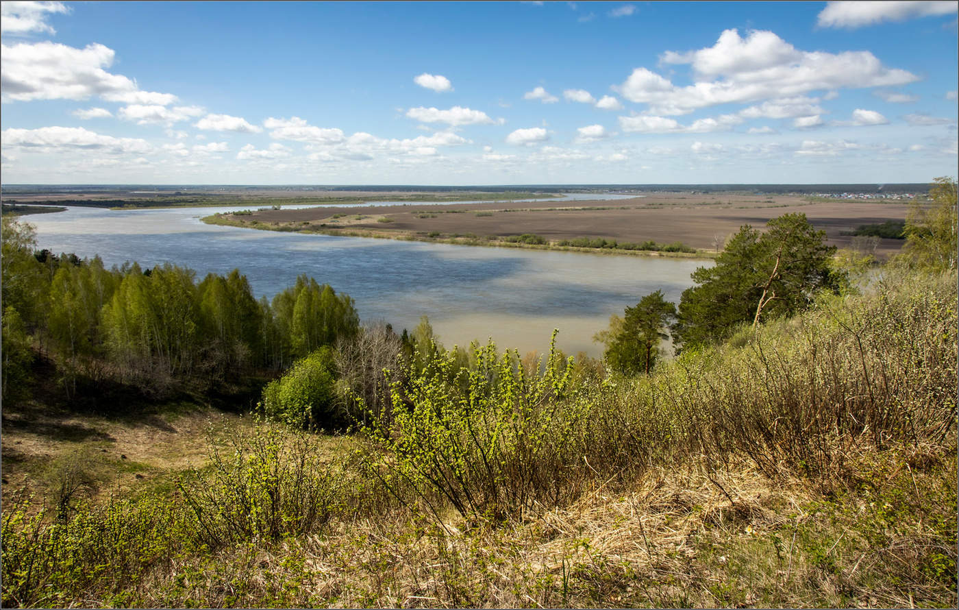 Прогулки над Томью...