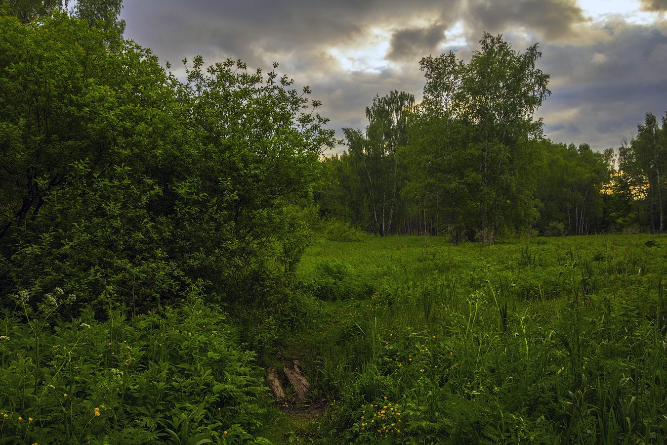 Майский вечер