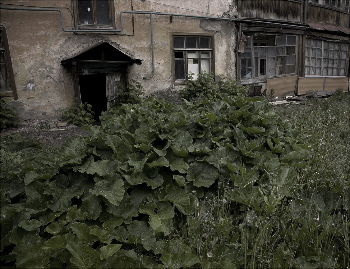 парадное крыльцо