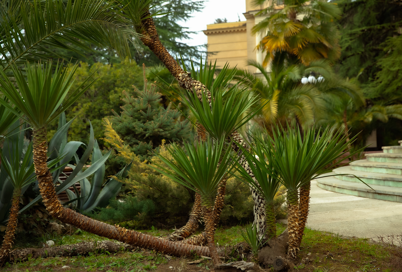 Зеленые уголок