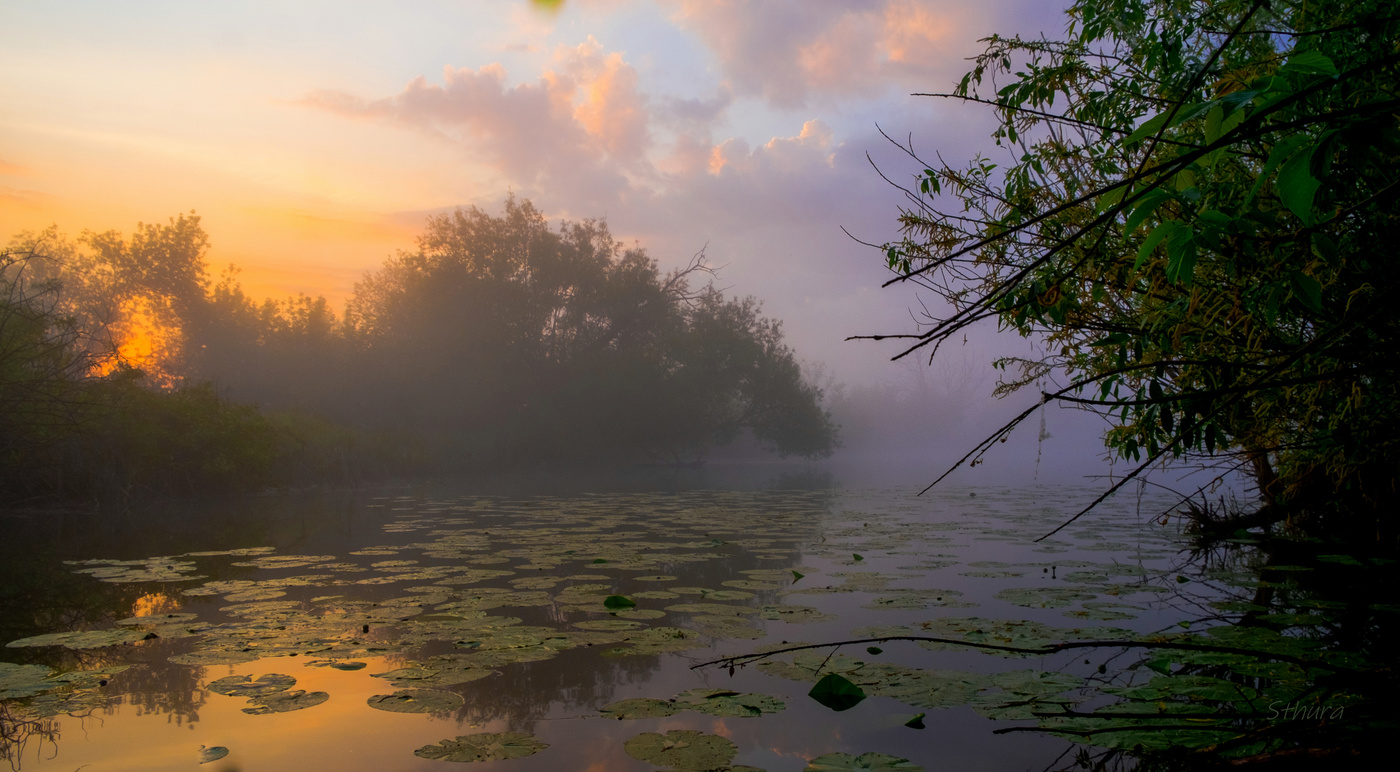 Весеннее утро.