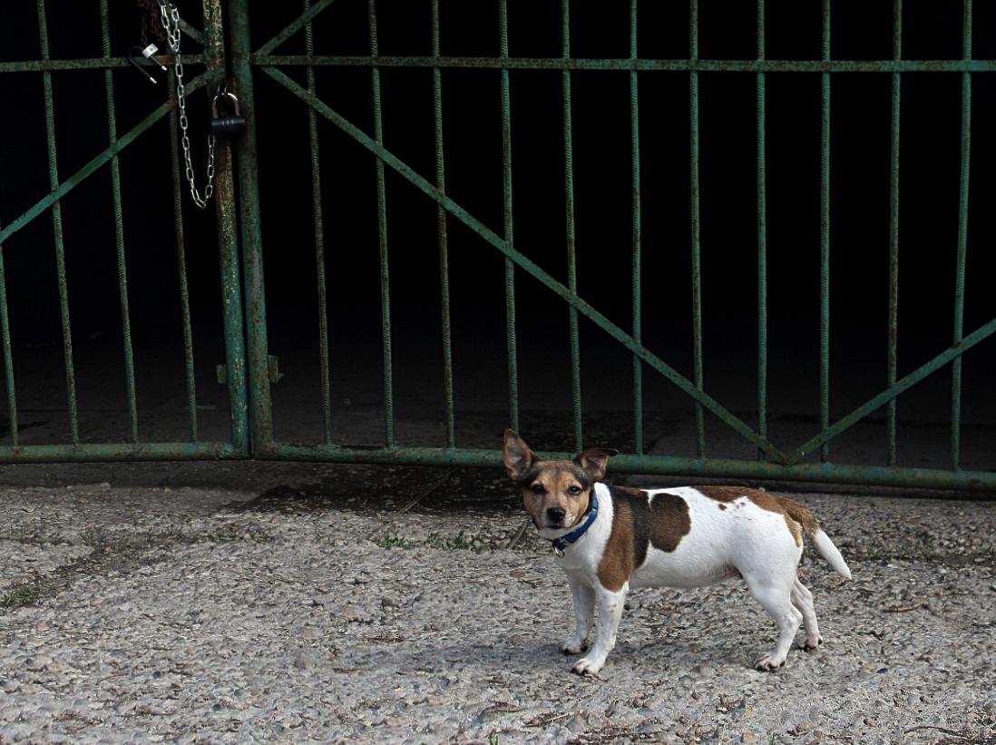 Ну а так как я тебе?