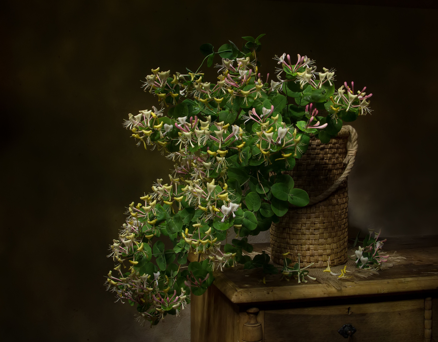 Каприфоль...