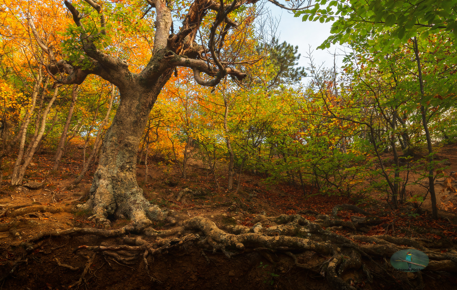 Тропами осеннего Демерджи
