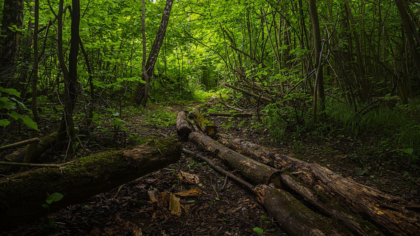 Свет в конце пути...