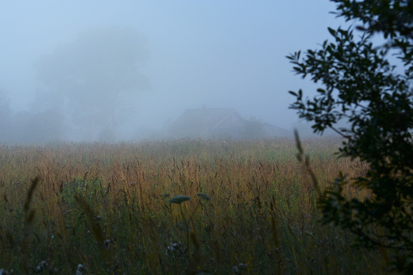 "Жизнь полна укладом старым, невдомек ей суета..."