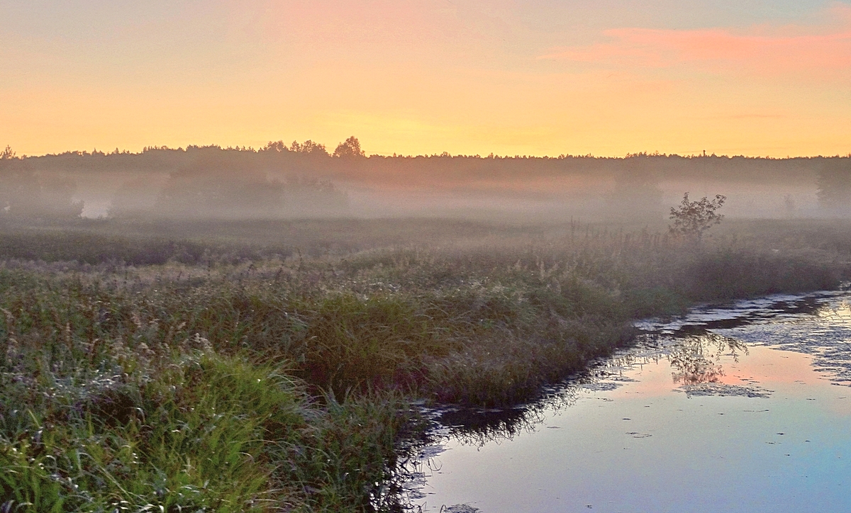 Туманный летний вечер