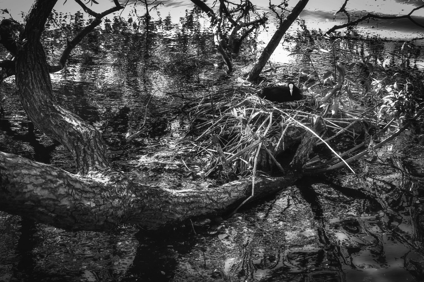 Тяжесть материнства