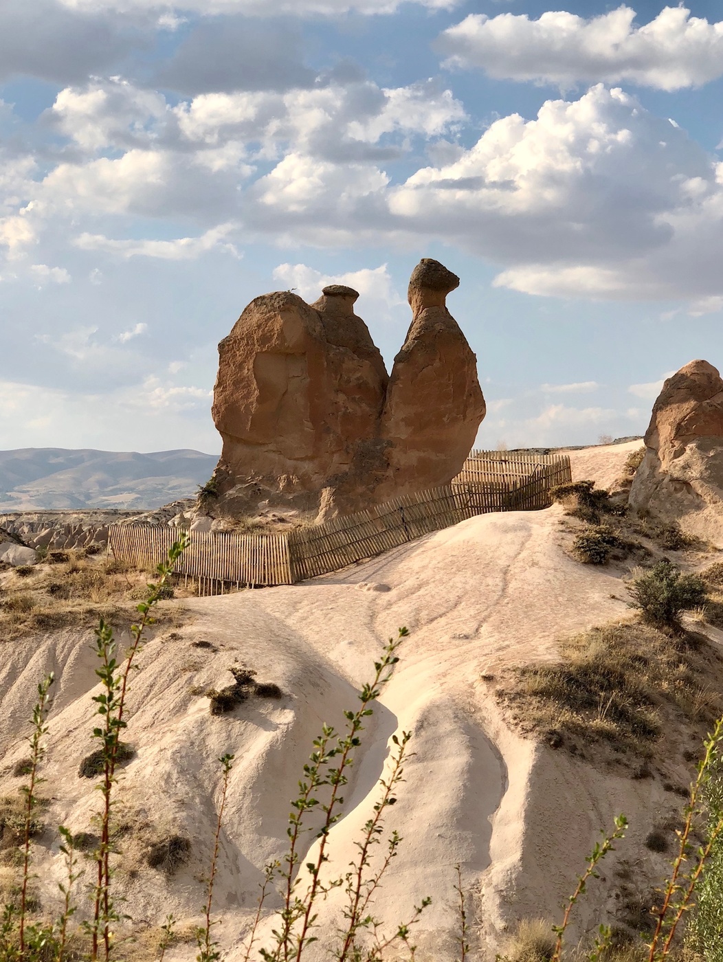 Гора «Верблюд»