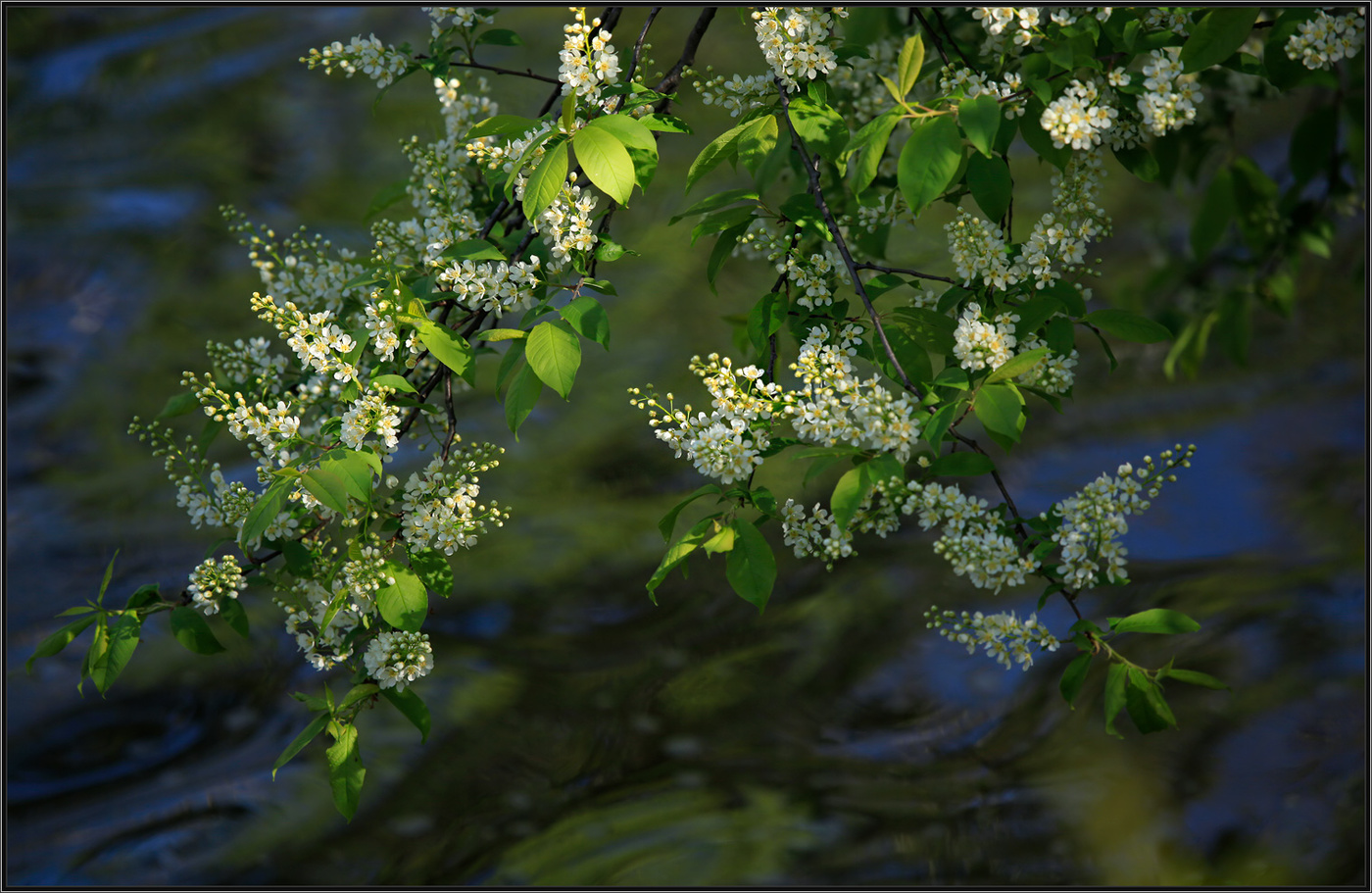 Над водой...