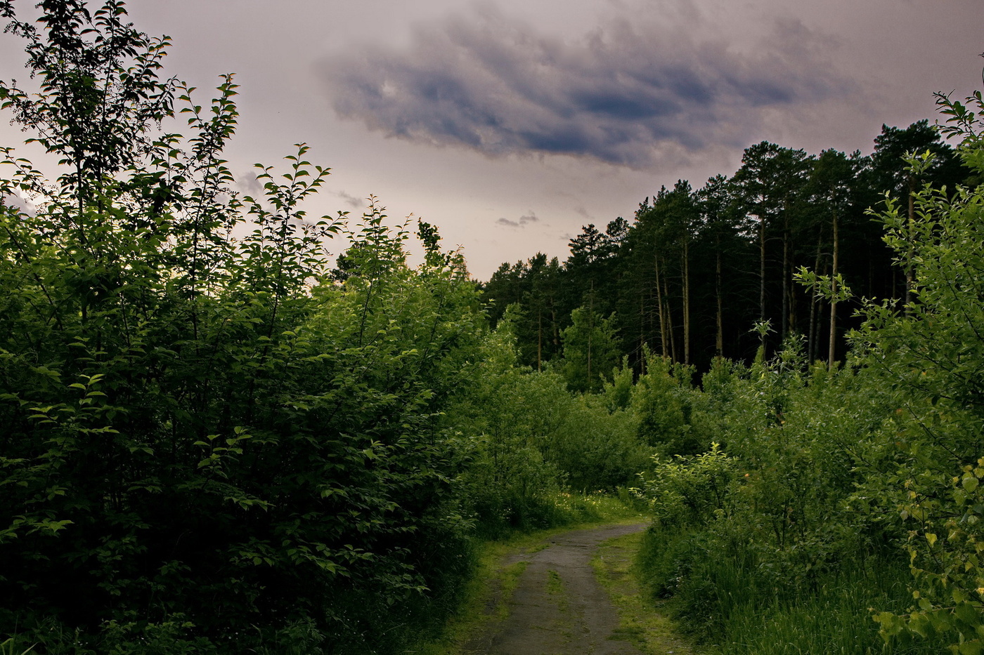 Прохладный вечер.