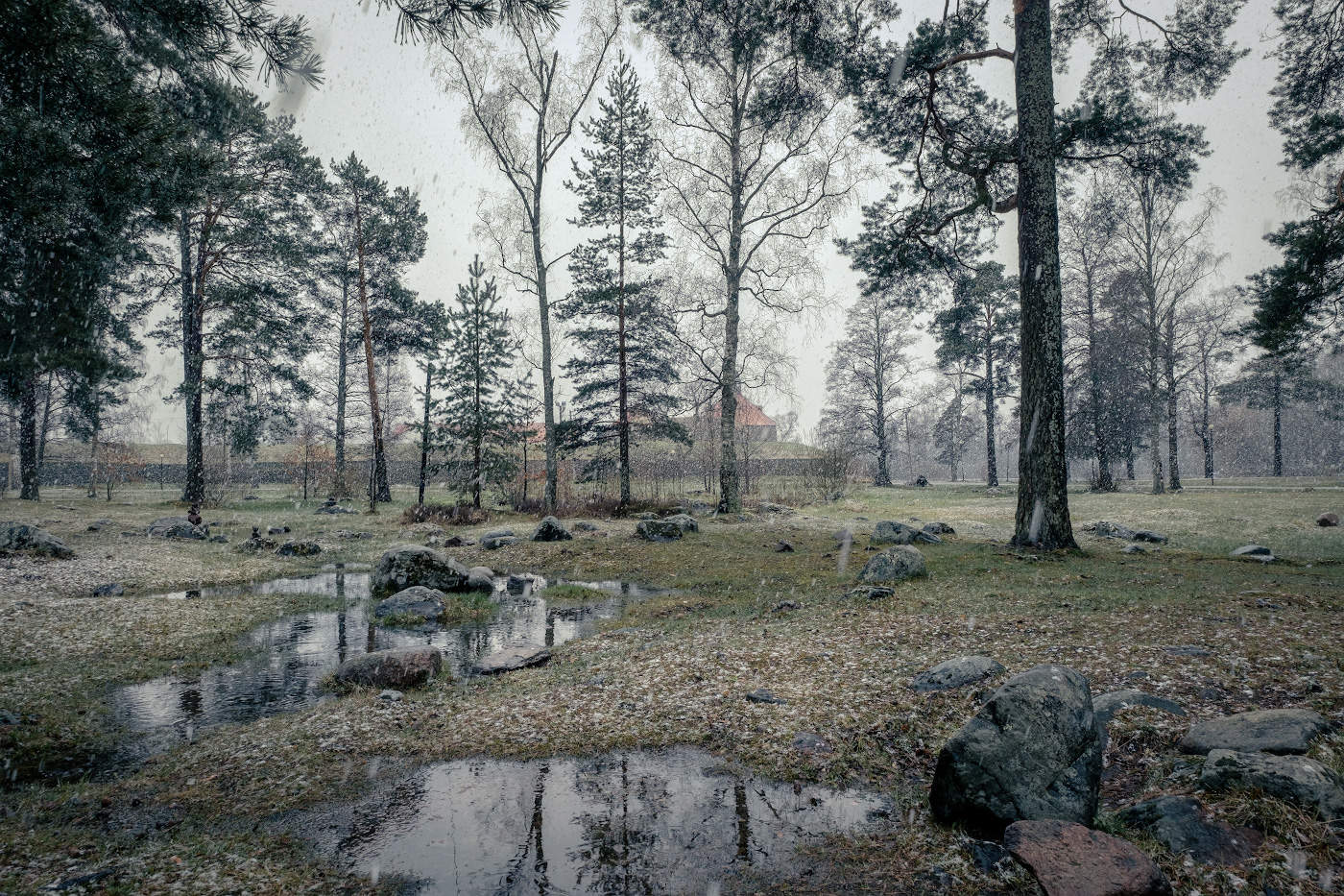 Майский снег