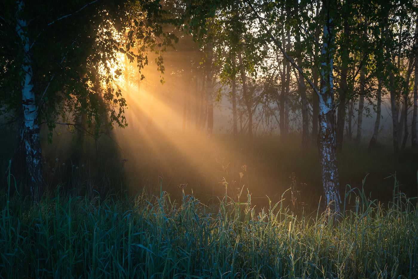 На рассвете