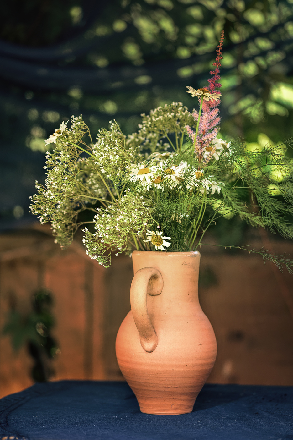 Полевые цветы