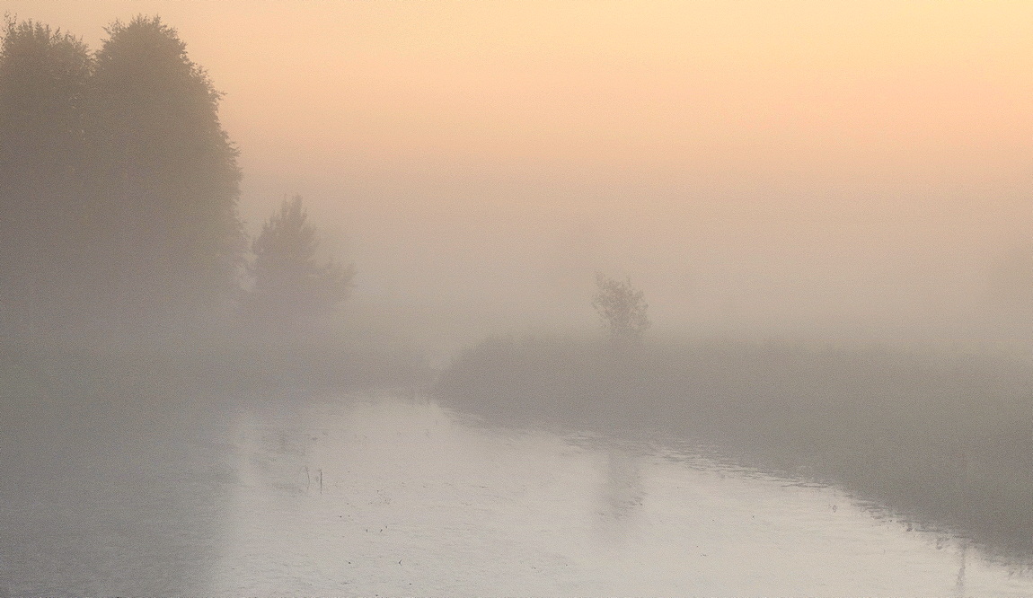 Густой туман к ночи окутал всё