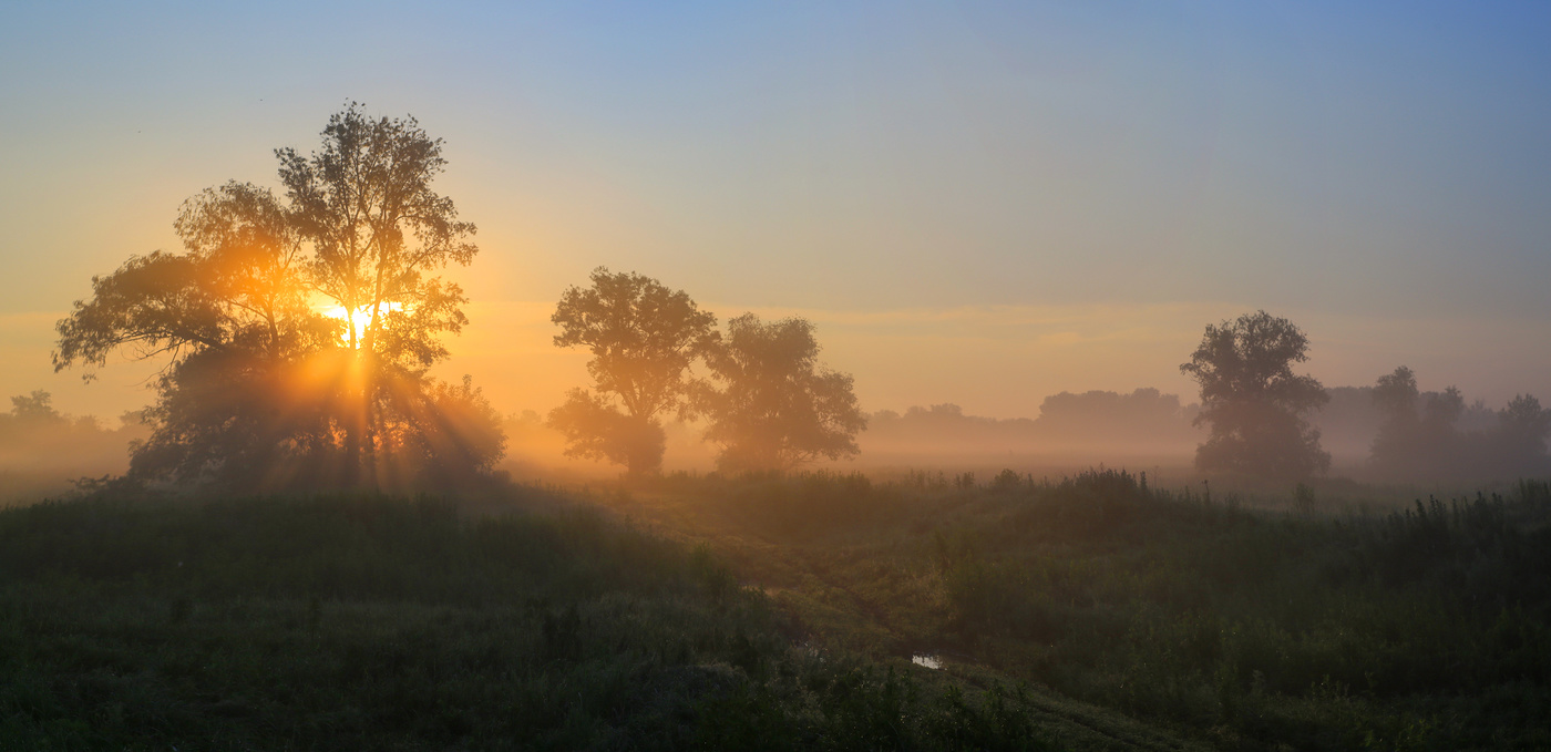 Летний рассвет