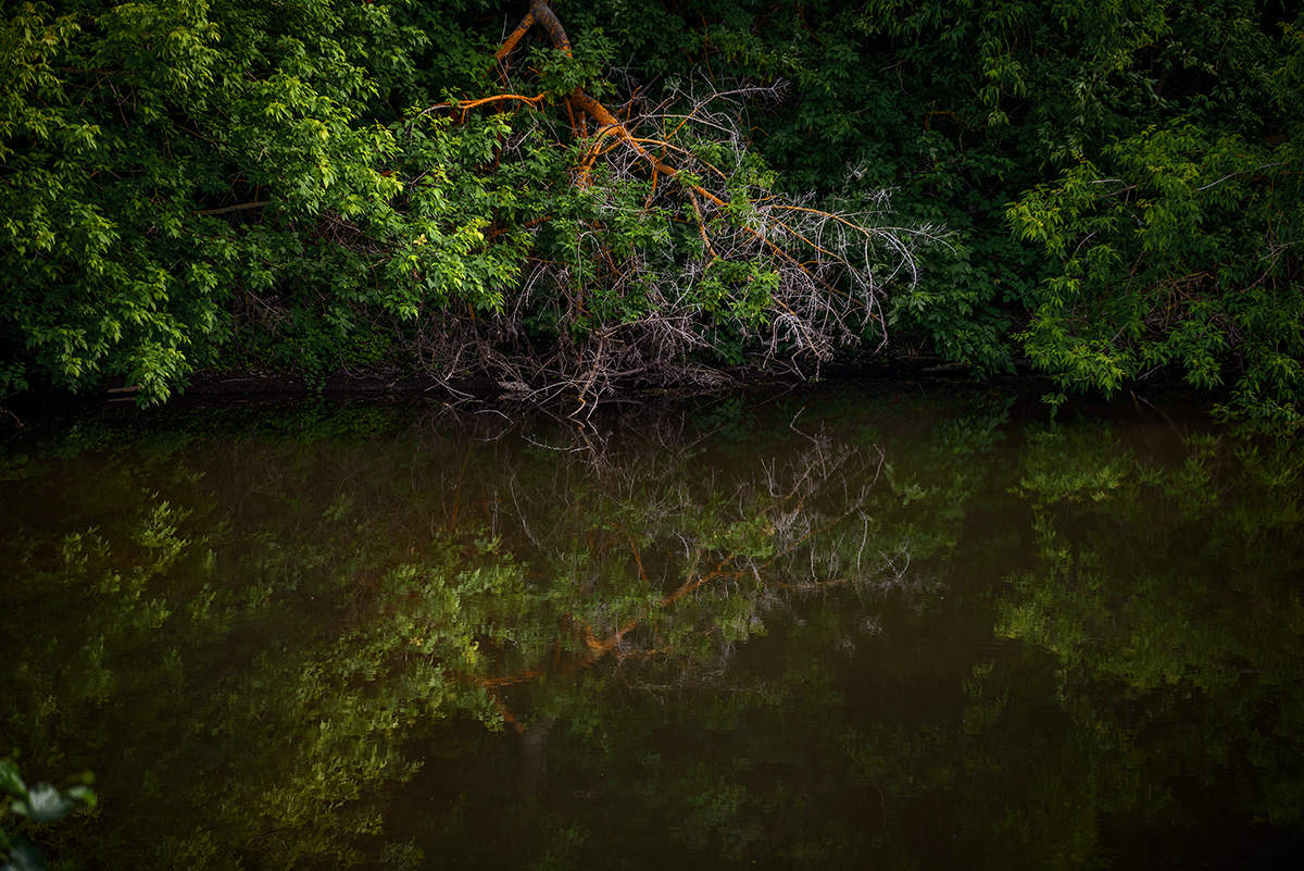 Отражение...