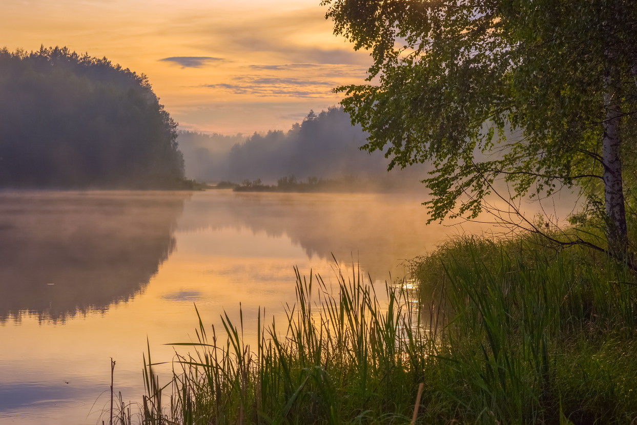 Вечерний туман