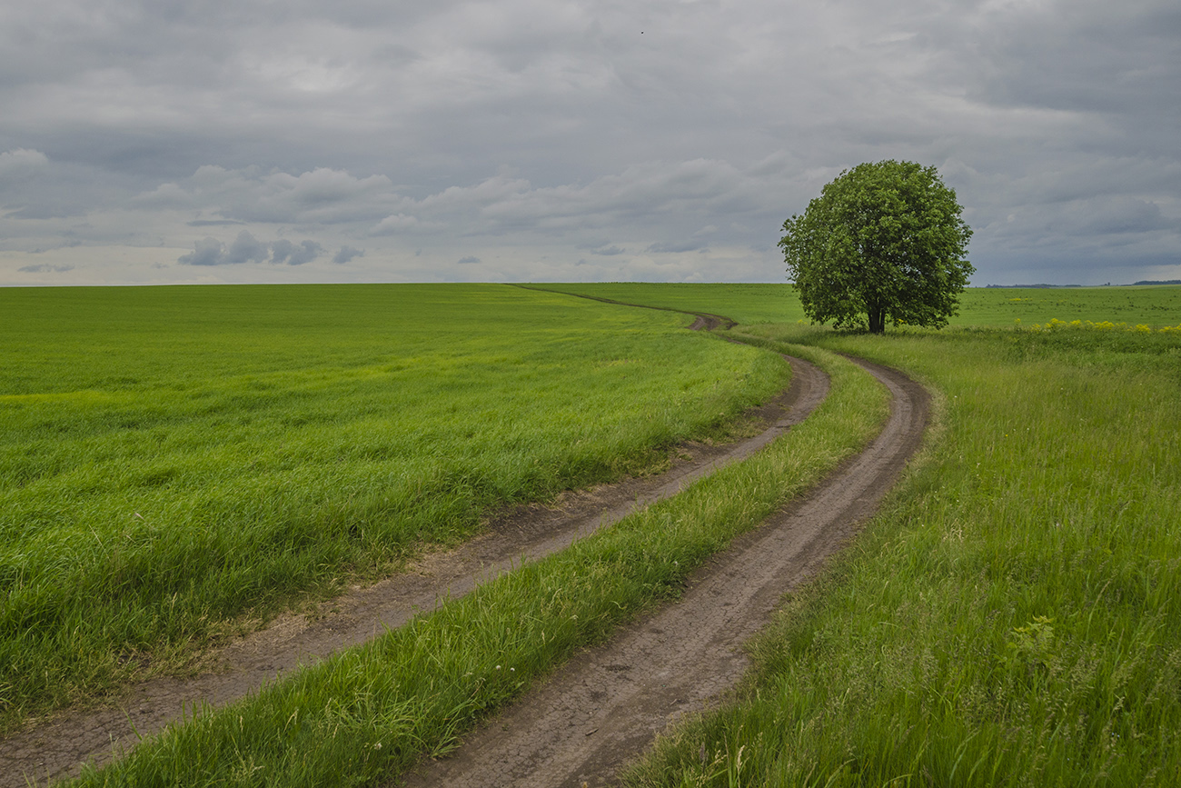 В полях Узловского района